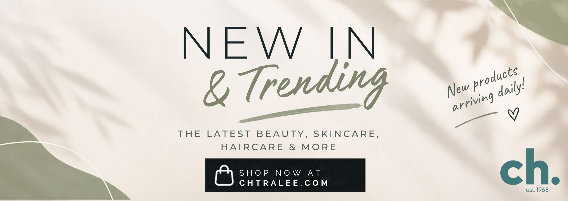 new arrivals at ch tralee